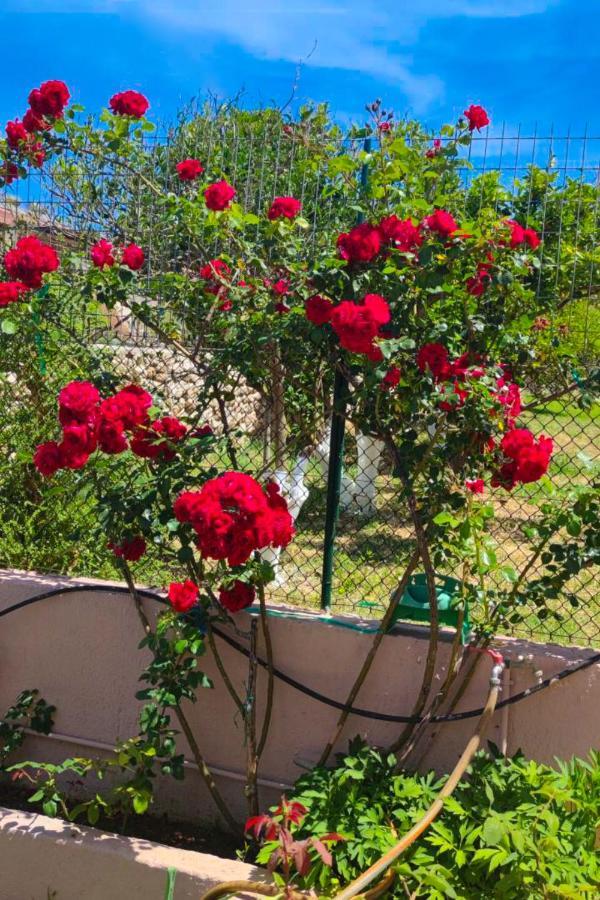 Artemis Superb 2 Bedroom Apartment 700 M Away From The Beach Minia Eksteriør billede