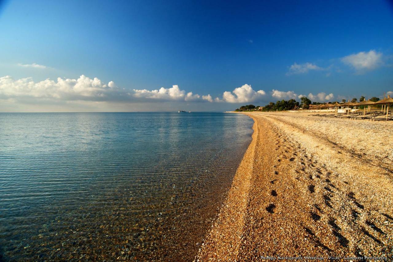 Artemis Superb 2 Bedroom Apartment 700 M Away From The Beach Minia Eksteriør billede